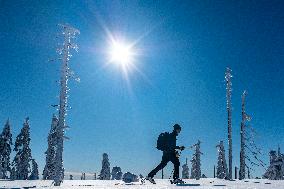Ski alpinist enjoys sunny weather