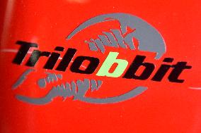 Trilobbit electric tricycle, logo