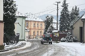 Bird flu back in Czech Republic