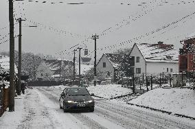 Bird flu back in Czech Republic