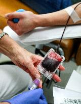 blood donor, sample, Hospital of St. Anna in Brno