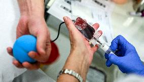 blood donor, sample, Hospital of St. Anna in Brno