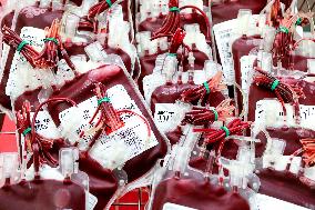 blood donor, bag, Hospital of St. Anna in Brno