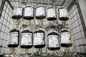 blood donor, bag, Hospital of St. Anna in Brno