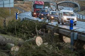 storm Ciara (Sabine), damage, fallen tree, D3 motorway