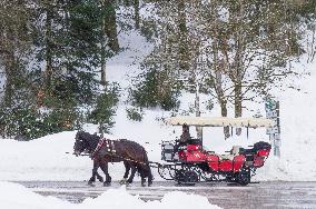 winter, snow, Horse-drawn sleigh touristic ride, sled