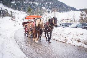 winter, snow, Horse-drawn sleigh touristic ride, sled