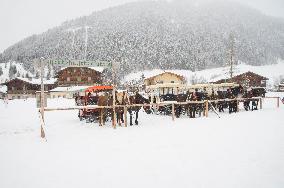 winter, snow, Horse-drawn sleigh touristic ride, sled