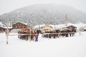 winter, snow, Horse-drawn sleigh touristic ride, sled