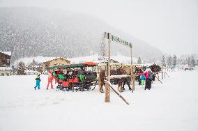 winter, snow, Horse-drawn sleigh touristic ride, sled