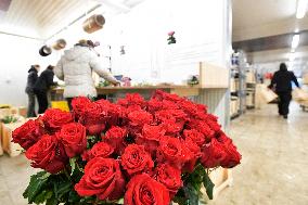 Florea, flower delivery company, bouquet, rose, roses
