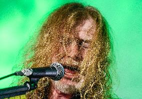 Dave Mustaine, Megadeth