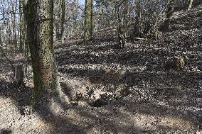 place where WWII air bomb was found