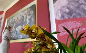Exhibition Early Spring at Prague Castle , flowering bulbs, hyacinths, amaryllis, flowers, flower
