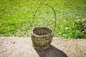 Basket weaving, basketry, basket making, willow rods