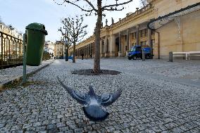 empty Karlovy Vary, Karlsbad, spa town