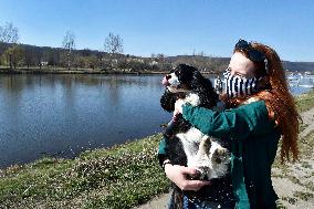 woman, dog, face mask, epidemic, Coronavirus