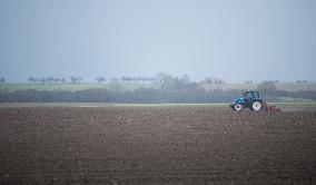 Planting of sugar beet