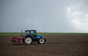 Planting of sugar beet