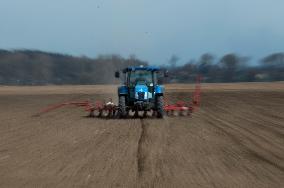 Planting of sugar beet