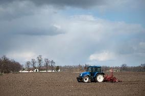 Planting of sugar beet