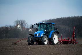 Planting of sugar beet