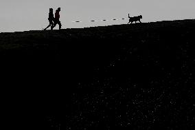 pair of pedestrians with a dog, pedestrian, silhouette