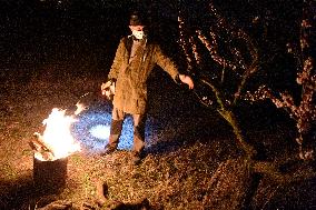 owner ignites fire in orchard to protect fruit trees against frost, tree, protection