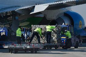 Aircraft, Mosnov airport, Boeing 767-300, medical exuipment from China