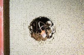 construction site, family house, bathroom, electrical wiring, light switch, reconstruction, renovation