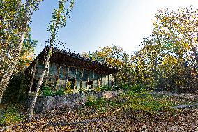 Chernobyl zone, restricted territory, Pripyat town, Kafe Pripyat