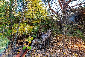 Chernobyl zone, restricted territory, Pripyat town, Kafe Pripyat