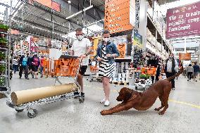 Hobby market Hornbach, customer, mask, shop, queue, infection, transmission, dog