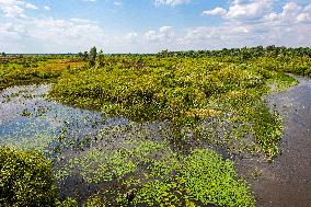 Chernobyl zone, restricted territory