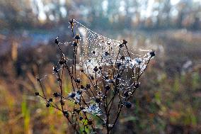 Chernobyl zone, restricted territory