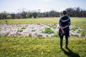 the Dendrological Garden in Pruhonice