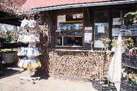 the Dendrological Garden in Pruhonice, the plant shop open