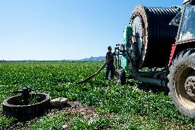 Agricultural irrigation system, watering, dry field, drought