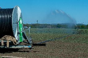 Agricultural irrigation system, watering, dry field, drought