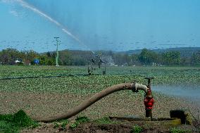 Agricultural irrigation system, watering, dry field, drought