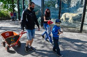 The Prague Zoo reopened to visitors