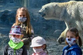 The Prague Zoo reopened to visitors