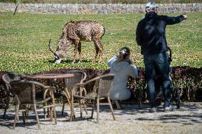 The Dvur Kralove Zoo reopened to visitors