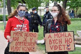 Several dozens protest in Brno against govt steps amid epidemic