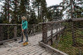 Giant Mountains (Krkonose) Tree Top Walk