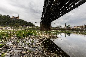 River Labe, drought, low water, dry