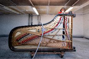 Petrof, production plant, grand piano, grand pianos