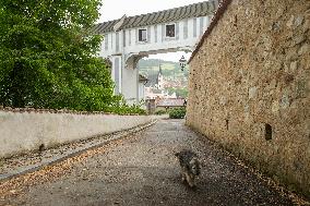 Statni hrad a zamek Cesky Krumlov