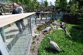 Darwin Crater, exhibition of Tasmanian and Australian fauna, Prague zoo