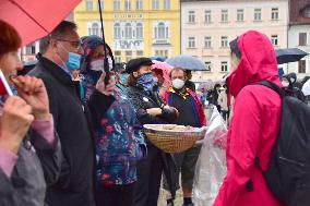 Ceske Budejovice, protest of Million Moments for Democracy NGO against government steps not only during coronavirus epidemic